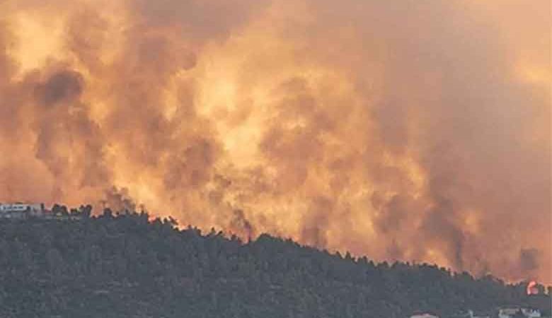 مقبوضہ بیت المقدس کے قریب جنگل میں خوفناک آگ، اسرائیل نے قومی ایمرجنسی نافذ کر دی
