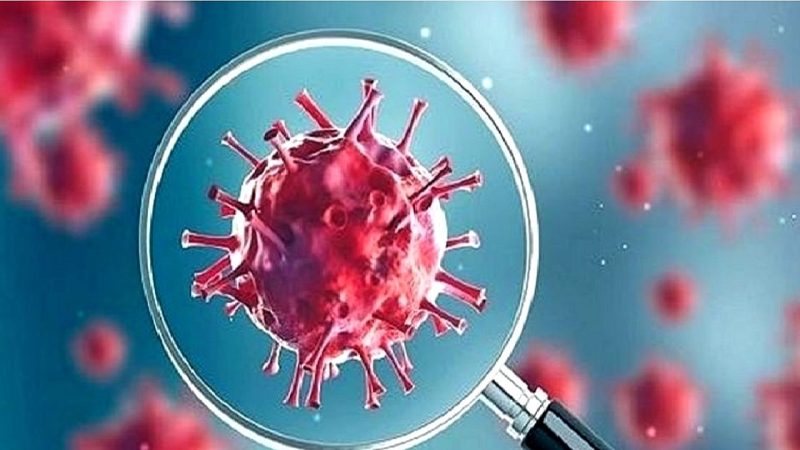 گروگرام میں کورونا کی واپسی، دو نئے مریض سامنے آئے، جےاین.1 ویرینٹ سے پھیلاؤ کا خدشہ