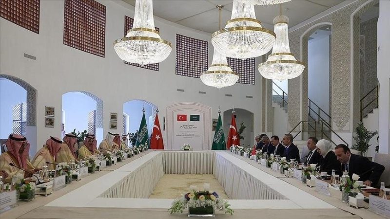 ترکی اور سعودی وزرائے خارجہ کی ملاقات، علاقائی مسائل پر تبادلہ خیال