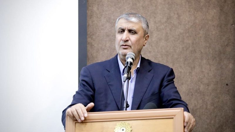 شہید امیر عبداللہیان سفارت کاری اور مقاومت کے درمیان بہترین رابطہ کار تھے، اسلامی