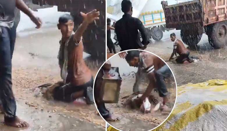 کسان کی مہینوں کی محنت آنکھوں کے سامنے بارش میں بہہ گئی، فصل بچانے کی ہر کوشش ناکام (ویڈیو)