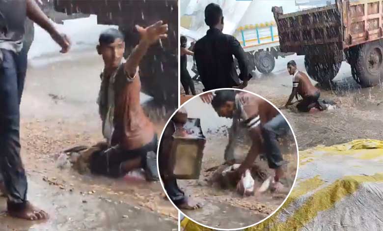 کسان کی مہینوں کی محنت آنکھوں کے سامنے بارش میں بہہ گئی، فصل بچانے کی ہر کوشش ناکام (ویڈیو)