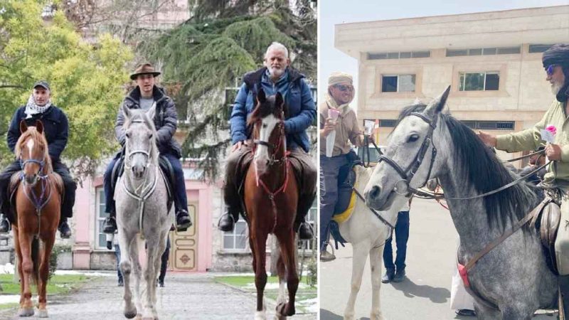 گھڑ سوار عازمین حج کا قافلہ سعودی عرب پہنچ گیا