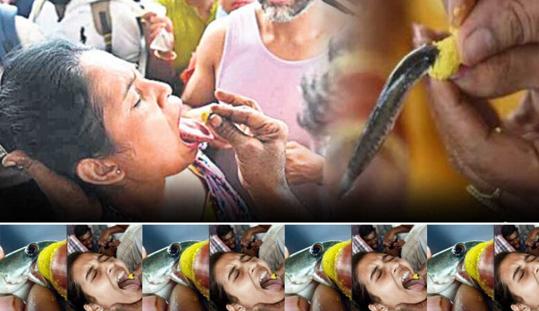 حیدرآباد میں دمہ کے مریضوں کو مچھلی میں دوا کھلانے کا نظم