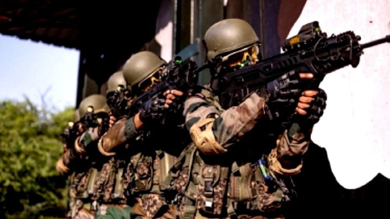 ملک کے لیے سبھی جان قربان کرنے کو تیار، چنڈی گڑھ میں ’سول ڈیفنس والنٹیرس‘ بننے کے لیے جمع ہوئی لوگوں کی بھیڑ