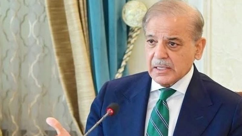 پاکستانی وزیر اعظم شہباز شریف نے پاک پارلیمنٹ میں کئے کئی متضاد دعوے